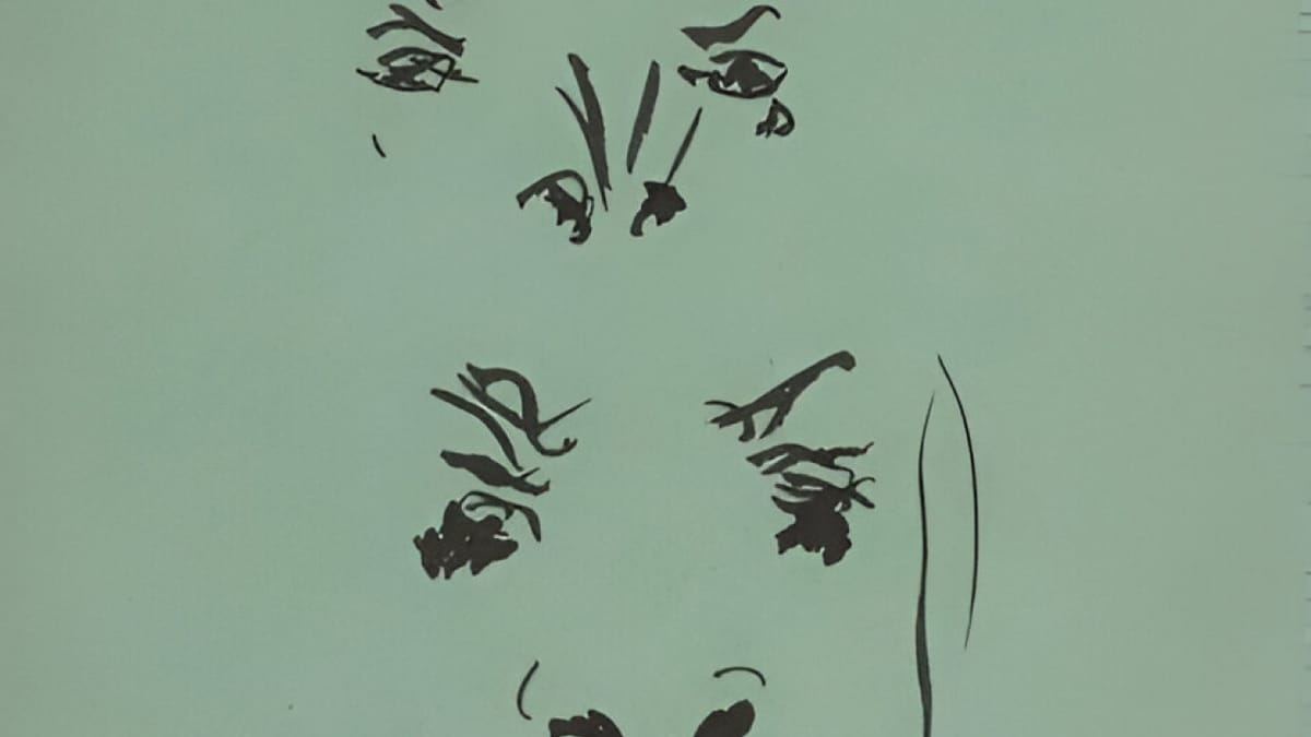 Deux visages & un bœuf