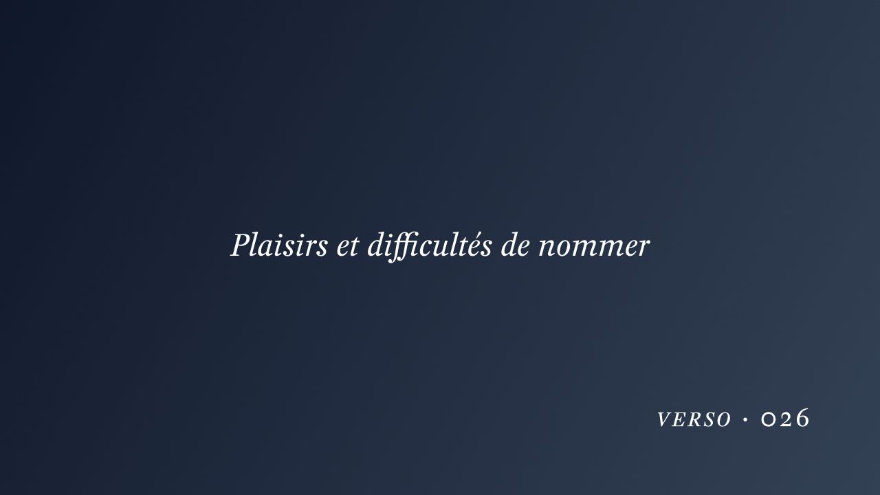 Plaisirs et difficultés de nommer