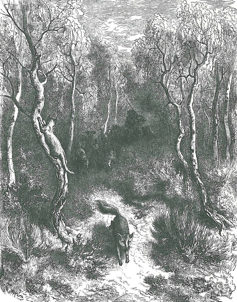 Un chat et un renard dans une forêt.